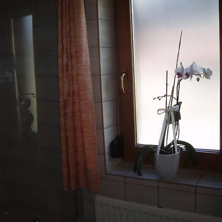 Harmonie Ζόλντεν